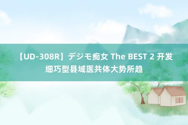 【UD-308R】デジモ痴女 The BEST 2 开发细巧型县域医共体大势所趋
