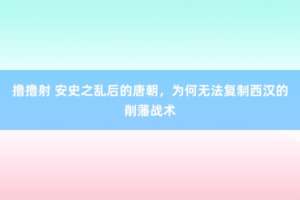 撸撸射 安史之乱后的唐朝，为何无法复制西汉的削藩战术