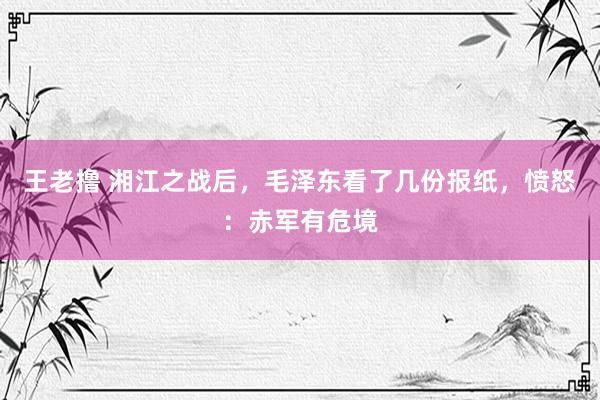 王老撸 湘江之战后，毛泽东看了几份报纸，愤怒：赤军有危境