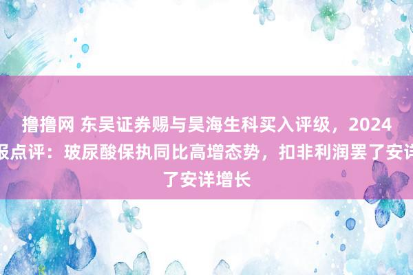 撸撸网 东吴证券赐与昊海生科买入评级，2024半年报点评：玻尿酸保执同比高增态势，扣非利润罢了安详增长