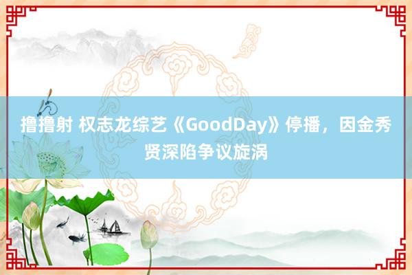撸撸射 权志龙综艺《GoodDay》停播，因金秀贤深陷争议旋涡