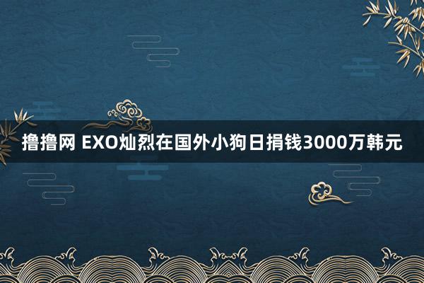 撸撸网 EXO灿烈在国外小狗日捐钱3000万韩元