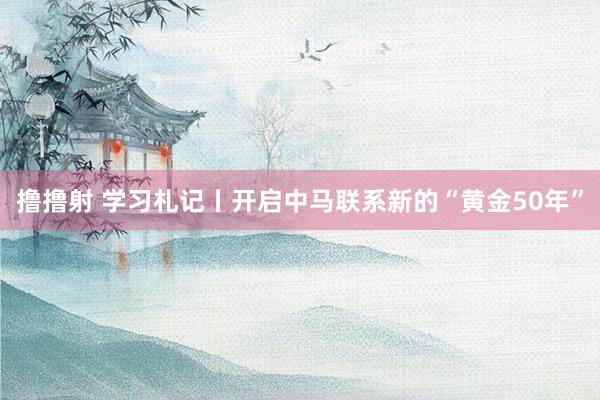 撸撸射 学习札记丨开启中马联系新的“黄金50年”