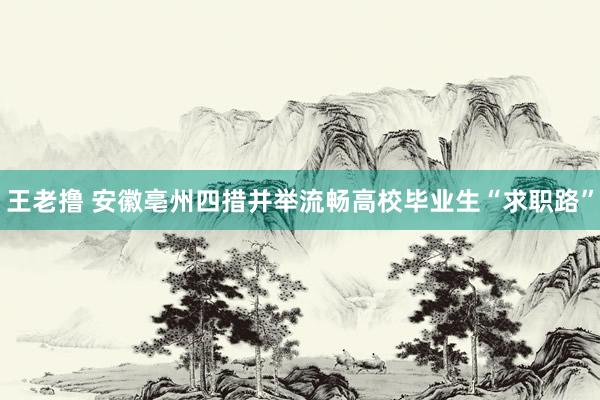 王老撸 安徽亳州四措并举流畅高校毕业生“求职路”