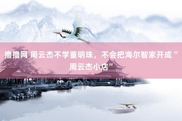 撸撸网 周云杰不学董明珠，不会把海尔智家开成“周云杰小店”