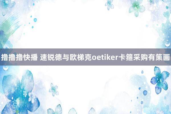 撸撸撸快播 速锐德与欧梯克oetiker卡箍采购有策画
