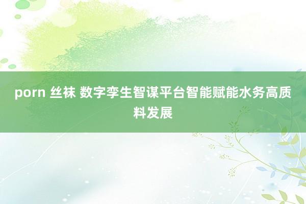 porn 丝袜 数字孪生智谋平台智能赋能水务高质料发展