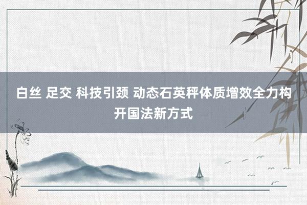 白丝 足交 科技引颈 动态石英秤体质增效全力构开国法新方式