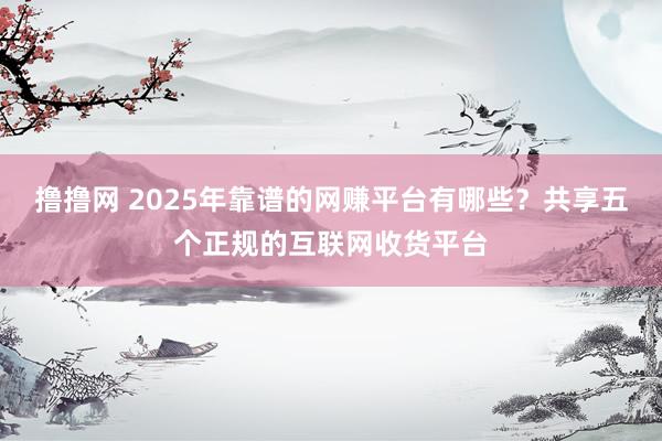 撸撸网 2025年靠谱的网赚平台有哪些？共享五个正规的互联网收货平台