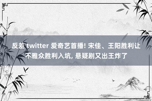 反差 twitter 爱奇艺首播! 宋佳、王阳胜利让不雅众胜利入坑, 悬疑剧又出王炸了
