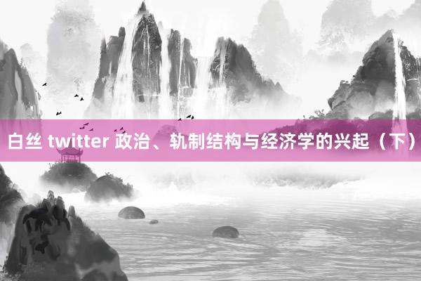 白丝 twitter 政治、轨制结构与经济学的兴起（下）